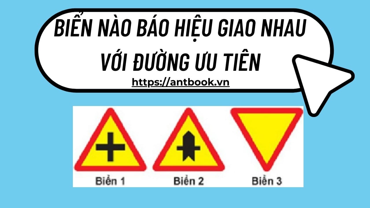 Người vi phạm có thể bị áp dụng hình phạt bổ sung như trừ điểm GPLX, hoặc tước quyền sử dụng giấy phép lái xe