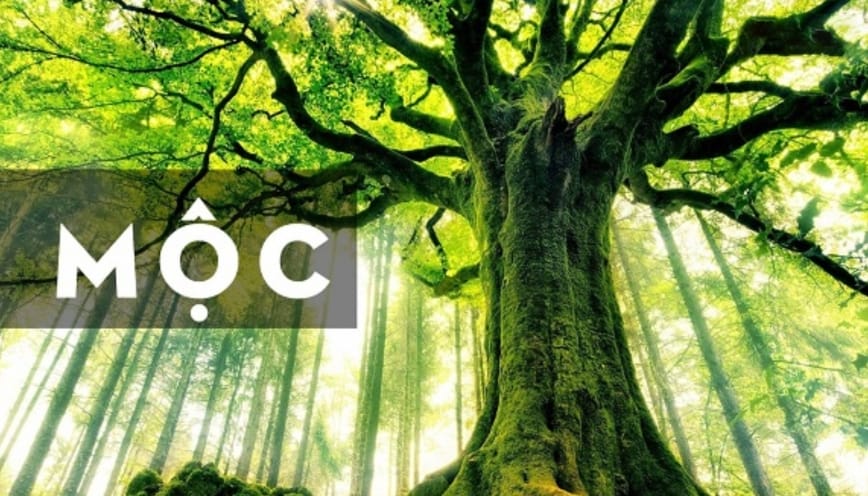 Nhóm bố mẹ hành Mộc nâng đỡ