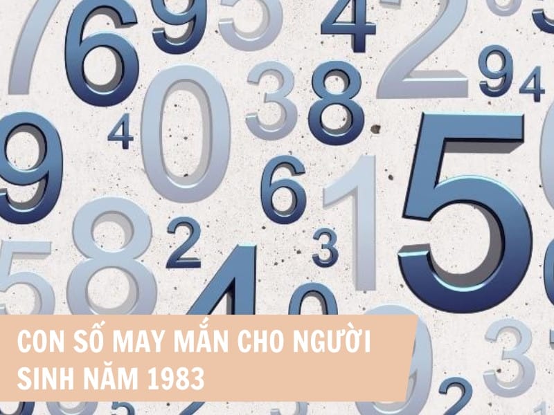 Những con số may mắn cho người sinh năm 1983 hợp tuổi gì trong công việc và cuộc sống