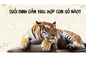Những con số may mắn cho người tuổi Dần 1986 mệnh gì