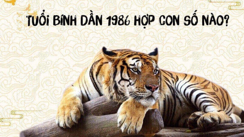 Những con số may mắn mang lại tài lộc cho nam và nữ sinh năm 1986