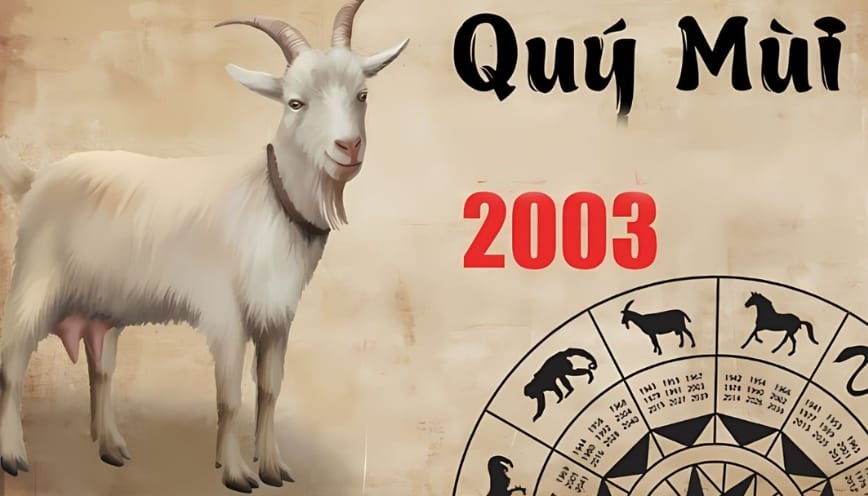 Những điểm đáng chú ý cuộc sống người sinh năm 2003