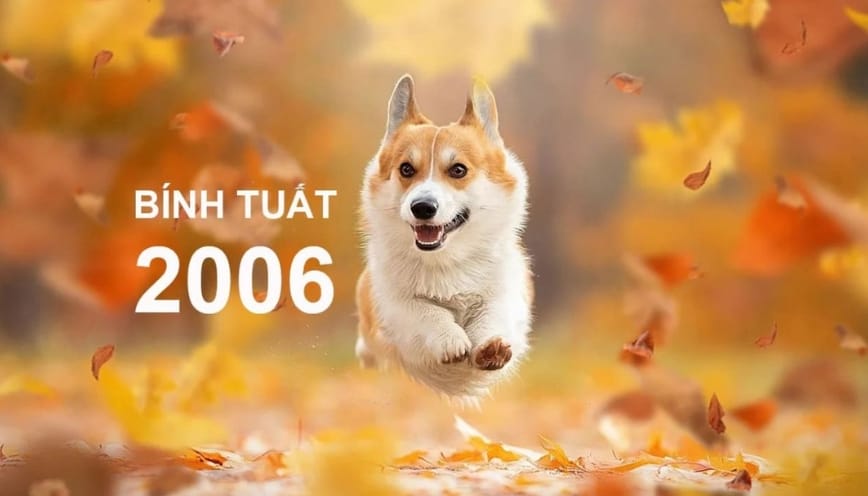 Những điểm đáng chú ý trong lá số Bính Tuất