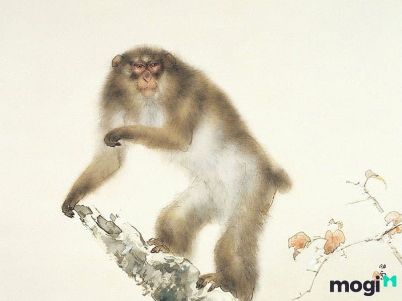 Những năm sinh của người tuổi Thân