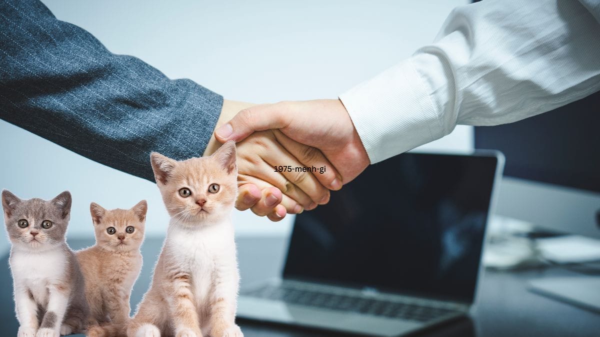 Những tuổi hợp để làm ăn với người sinh năm 1975