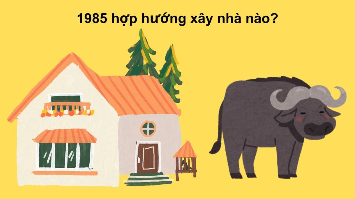Nữ 1985 hợp các hướng Nam, Đông Nam, Bắc, Đông để tăng cường tài lộc và bình an