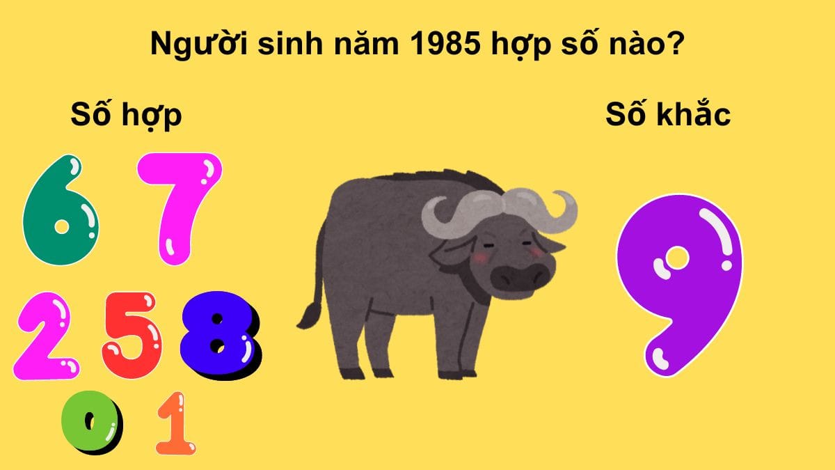 Nữ 1985 tuổi Ất Sửu hợp số 6, 7, 2, 5, 8 để thu hút may mắn