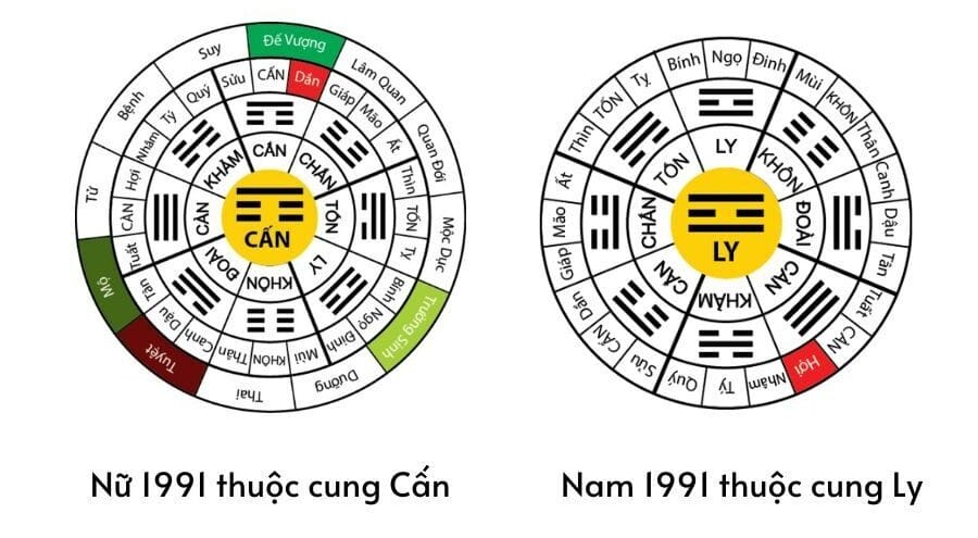 Nữ 1991 cung gì? Xác định cung mệnh mang lại thuận lợi cho nữ Tân Mùi