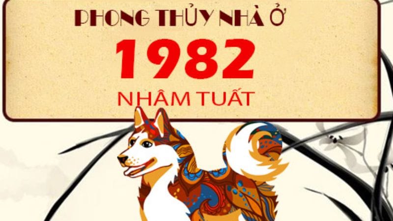 Nữ Nhâm Tuất sinh năm 1982 hợp với các hướng Tây Bắc, Đông Bắc, Tây và Tây Nam khi xây dựng hoặc bài trí không gian sống.