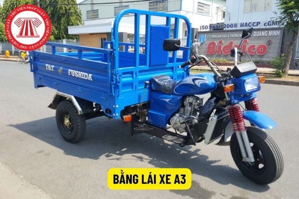 Phạm vi điều khiển và thời hạn của bằng lái xe A3