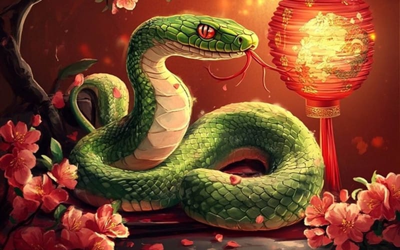 Phân tích chi tiết tử vi tuổi Tỵ 1989 nam mạng