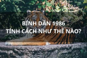Phân tích tính cách người tuổi Dần 1986 mệnh gì qua hình ảnh