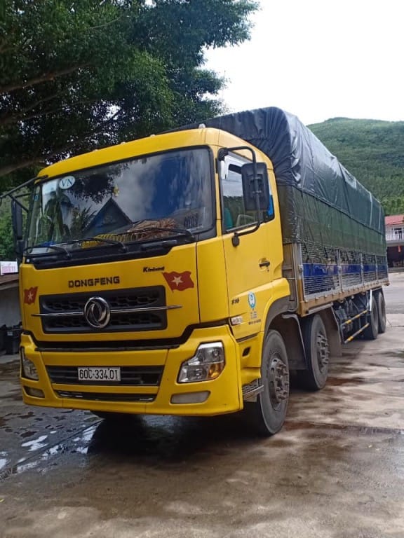 Quang cảnh một khu vực chuyên mua bán xe tải cũ Biên Hòa với nhiều phương tiện