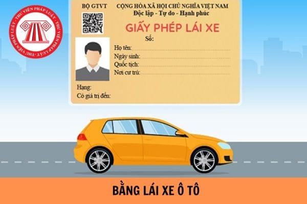Quy định độ tuổi tối đa và các loại bằng lái xe ô tô tại Việt Nam