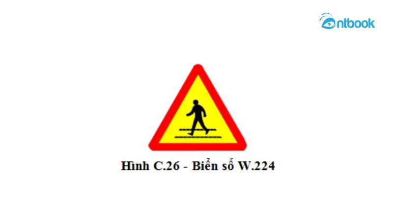 Quy định về việc nhường đường cho người đi bộ tại các điểm giao cắt phức tạp