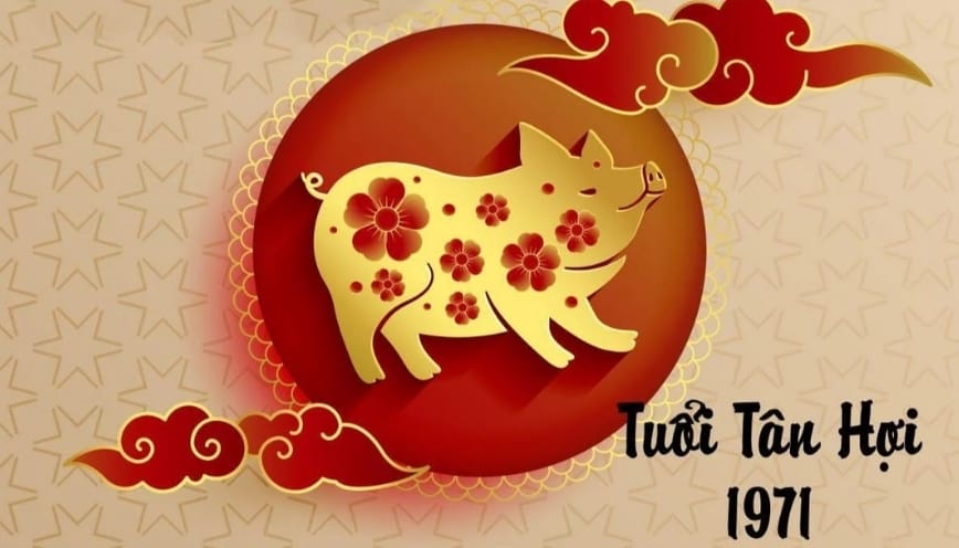 Sinh năm 1971 bao nhiêu tuổi?