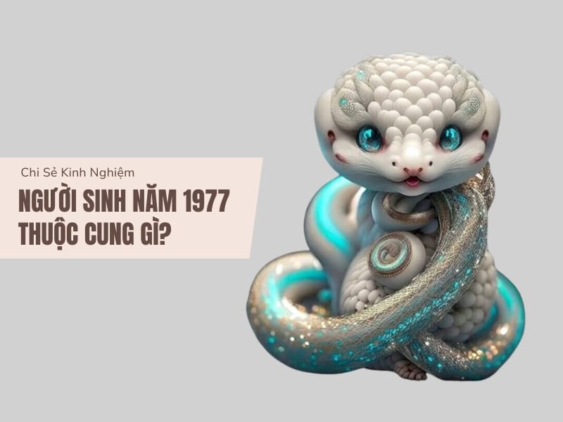 Sinh năm 1977 thuộc cung gì