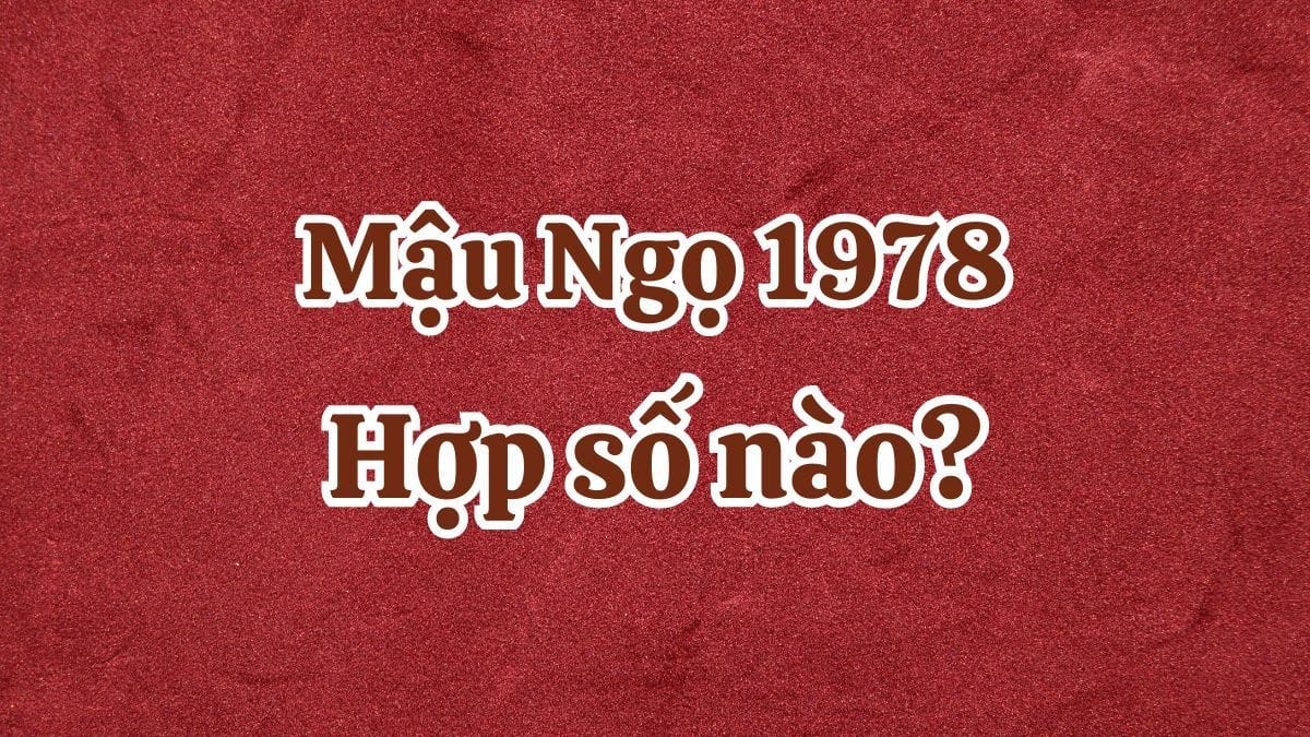 Sinh năm 1978 là tuổi gì hợp con số nào