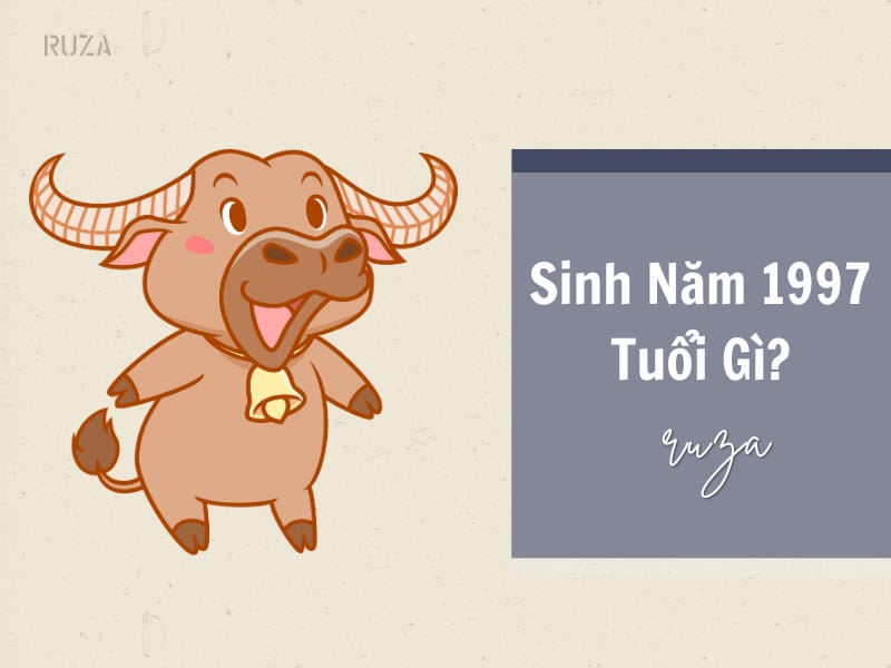 Sinh năm 1997 là tuổi Đinh Sửu