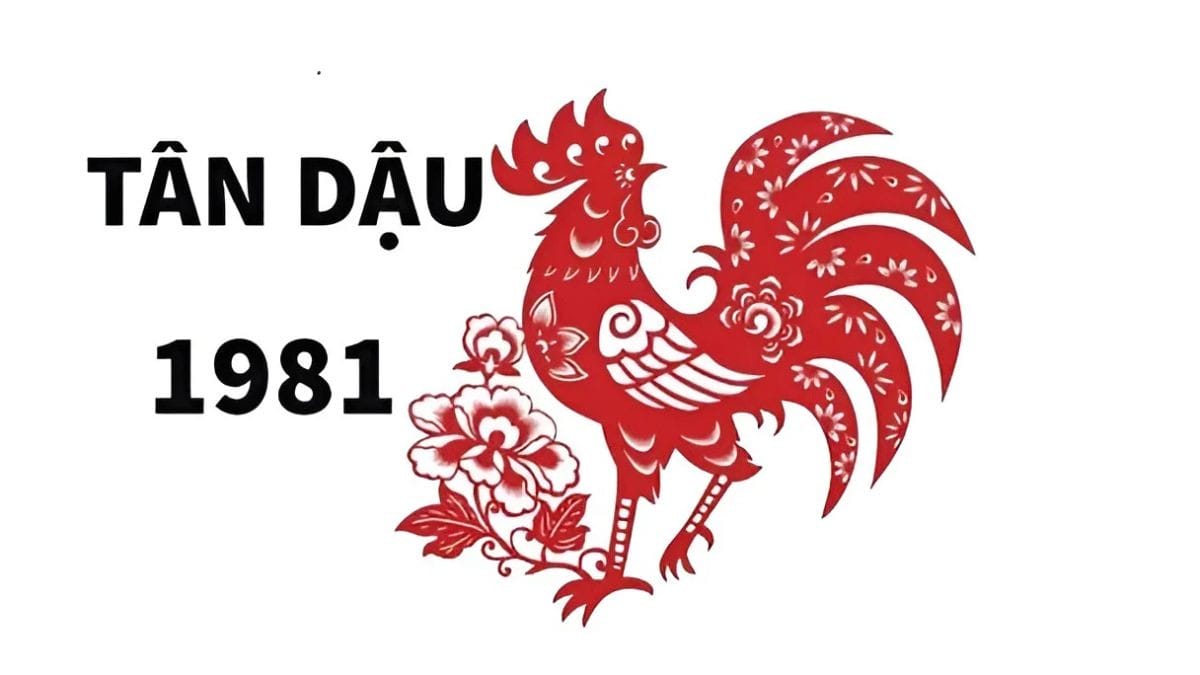 Số tuổi của người sinh năm 81 tuổi gì