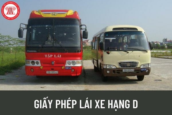 Tài xế chuyên nghiệp vận tải hành khách, yêu cầu giấy phép lái xe hạng D hợp lệ