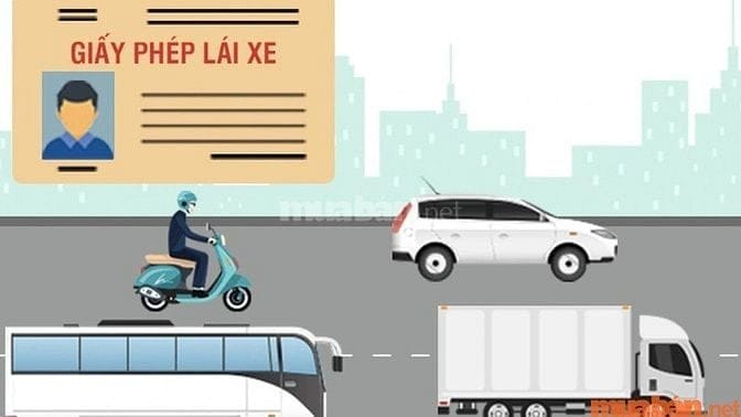 Tầm quan trọng của việc có giấy phép lái xe khi tuyển phụ xe tải đường dài bắc nam