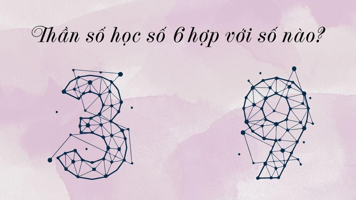 Thần số học số 6 hợp với số nào trong tình duyên và các mối quan hệ