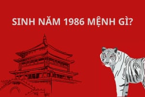 Tìm hiểu tuổi Dần 1986 mệnh gì qua ngũ hành Lư Trung Hỏa