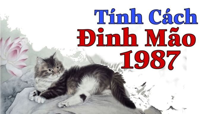 Tính cách đặc trưng của người sinh năm 1987 tuổi Đinh Mão
