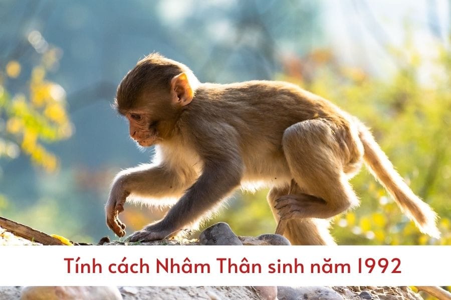 Tính cách nam 1992 cung gì