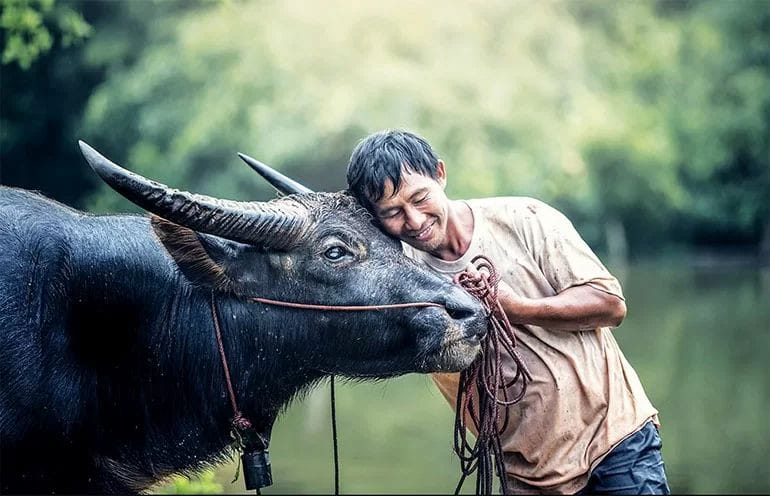 Tính cách nam Ất Sửu 1985 thực tế