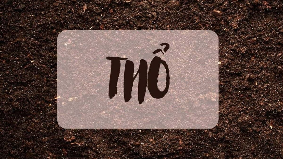 Tính cách người sinh năm 1976 nổi bật