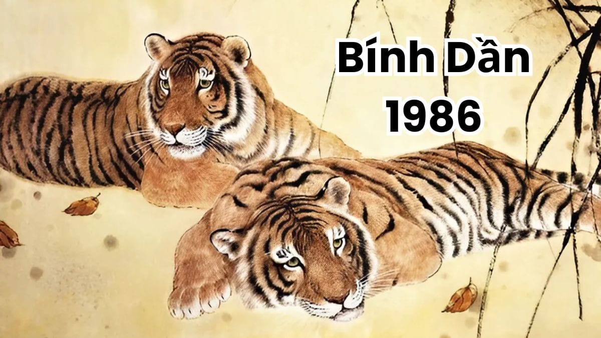Tính cách nữ vận mệnh người sinh năm 1986