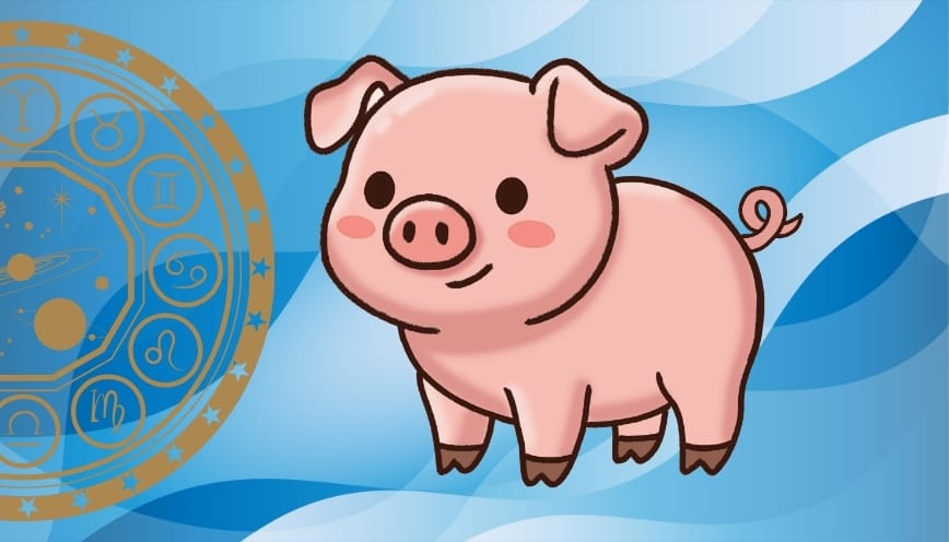 Tính nhanh 2019 bao nhiêu tuổi năm 2026