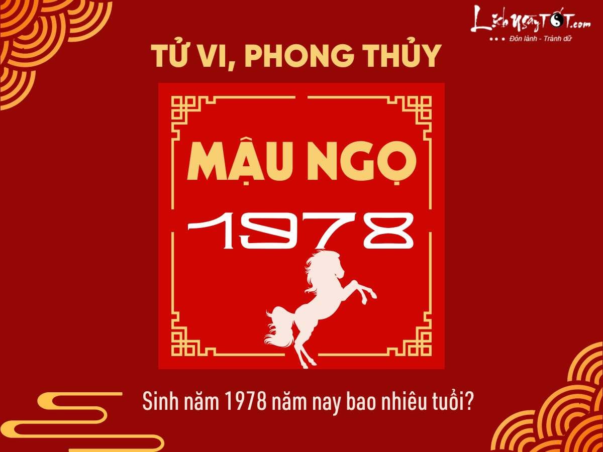 Tính tuổi chính xác cho người sinh năm 1978 Mậu Ngọ