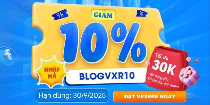 Toàn cảnh hoạt động sầm uất tại bến xe liên tỉnh Phú Yên, thể hiện vai trò trung tâm giao thông