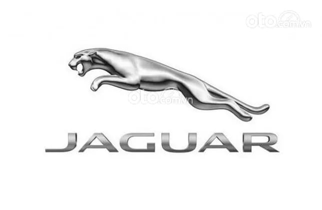 Tổng quan các mẫu xe Jaguar sang trọng và đẳng cấp