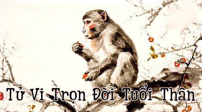 Tổng quan tử vi trọn đời của người tuổi Canh Thân