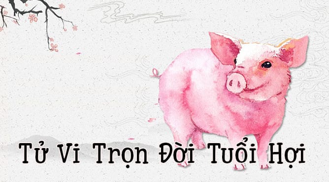 Tổng quan tử vi trọn đời người tuổi Hợi, ảnh hưởng đến vận trình Ất Hợi hôm nay