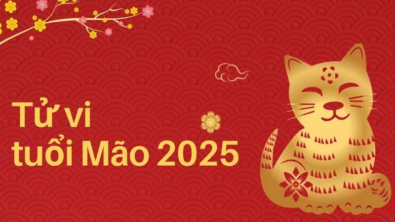Tổng quan vận trình tử vi tuổi Mão 1987 nữ mạng trong năm 2025