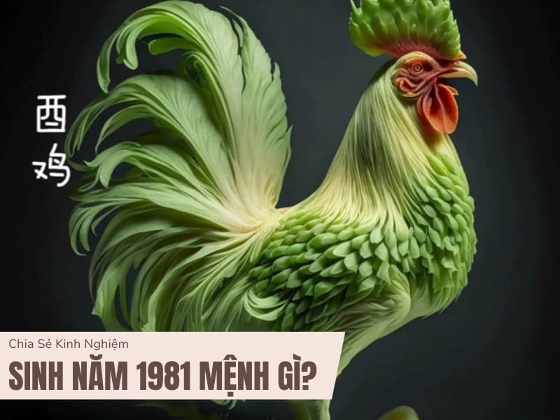 Tổng quan về người sinh năm 1981 mệnh gì, hợp tuổi nào