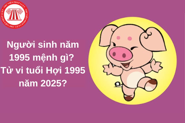 Tổng quan về tử vi Ất Hợi 1995 và dự đoán vận trình