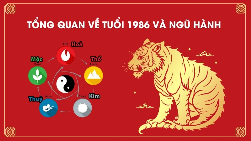 Tổng quan về tuổi 1986 và ngũ hành