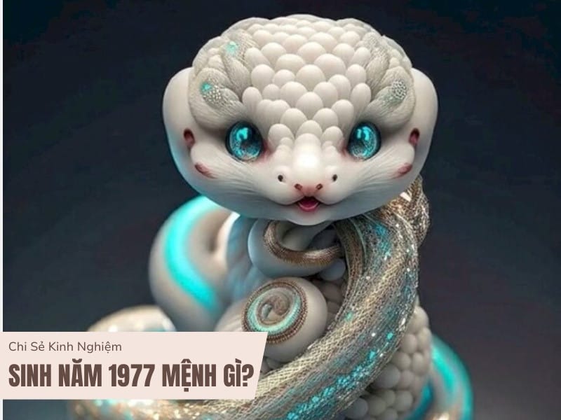 Tổng quan về vận mệnh của nữ Đinh Tỵ