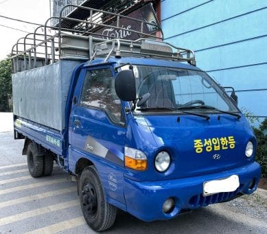 Tổng thể xe tải Hyundai 1 tấn cũ đời 2005, với các phiên bản cabin giò gà và cabin kiểu nhíp.