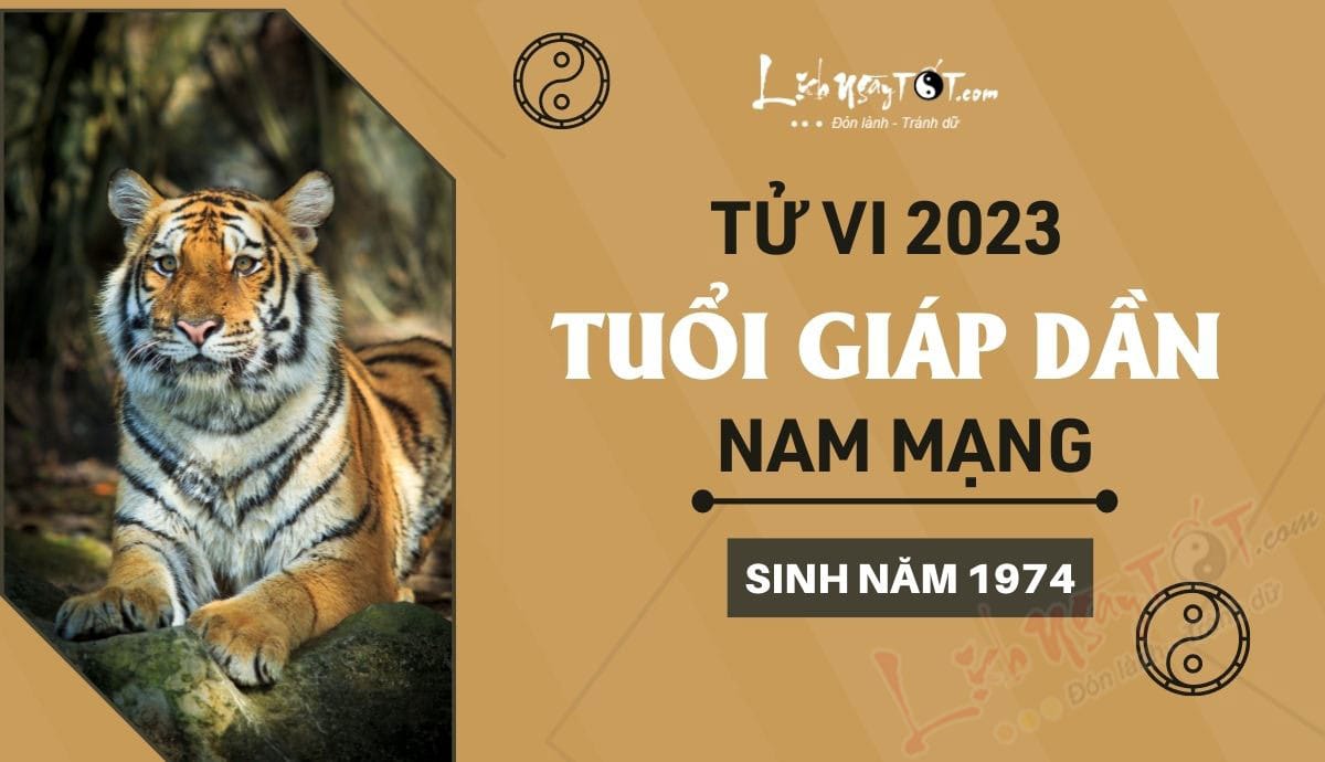 Tử vi 2023 tuổi Giáp Dần nam mạng tổng quan