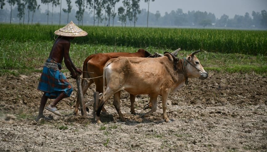 Tuổi 1958 không nên ôm đồm quá nhiều việc