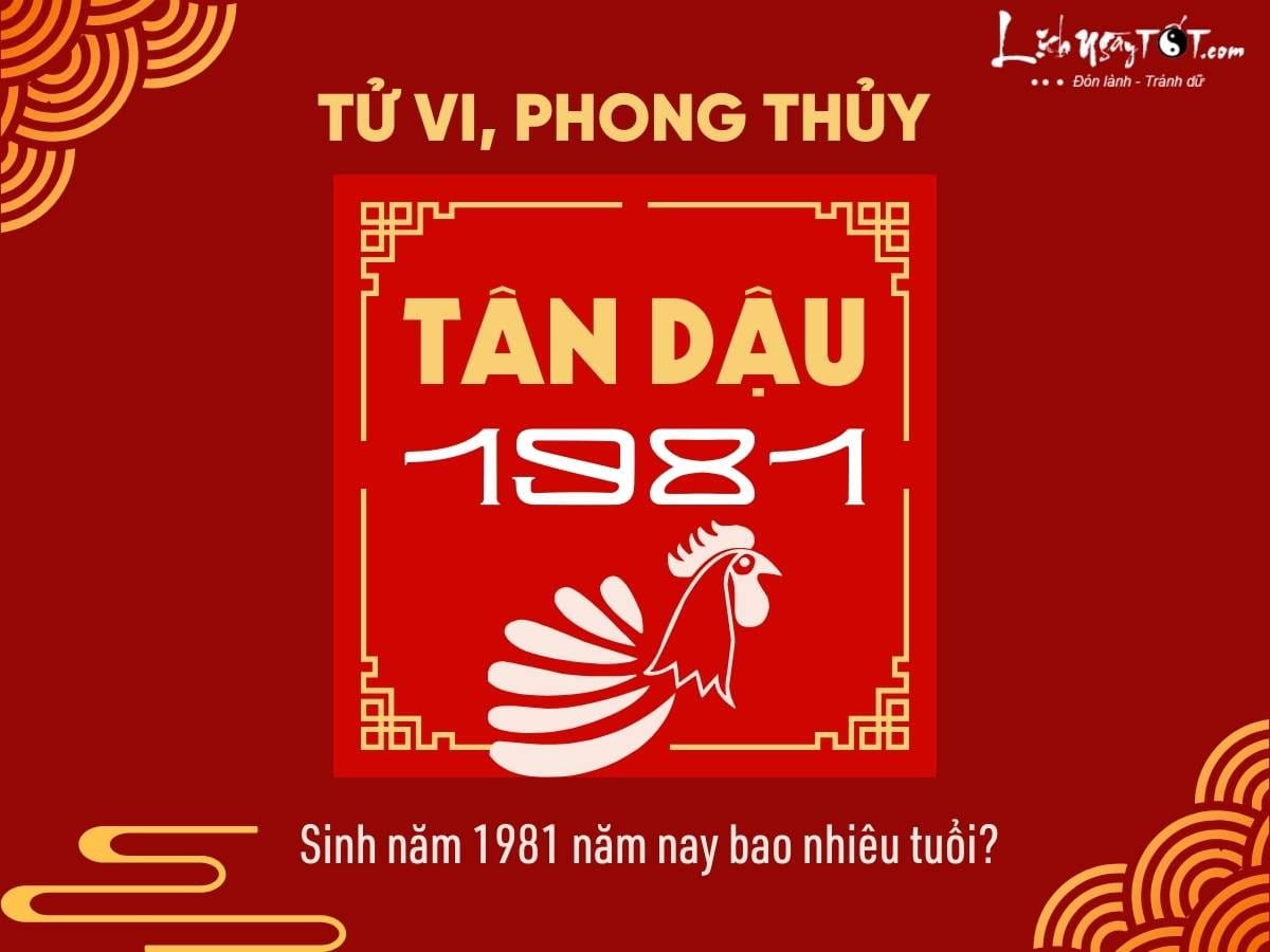 Tuổi của người sinh năm 1981