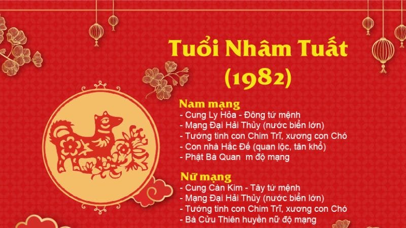 Tuổi đại kỵ với 1982 là năm con gì mệnh Thủy