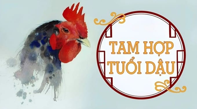 Tuổi Dậu tam hợp Tỵ, Sửu và những năm Tam Tai